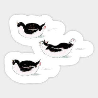 Penguin Lesson Sticker